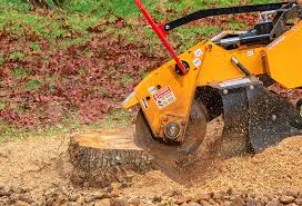 Tree and Shrub Care in Orleans, IN